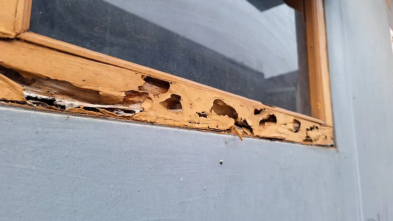 Daños estructurales en una vivienda, ejemplo de perjuicio reclamable