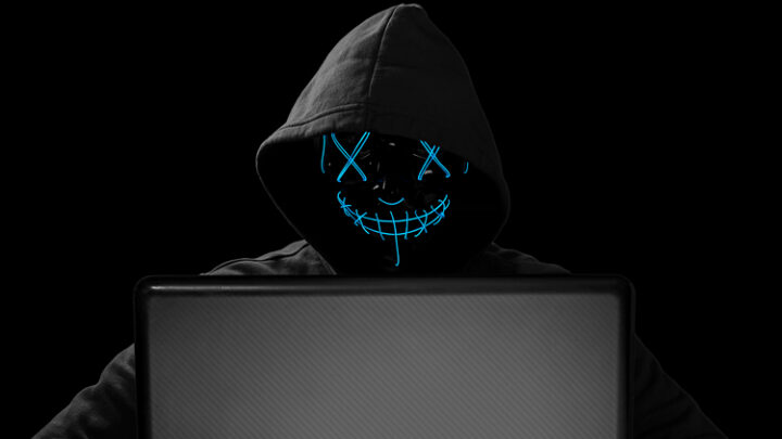 El consumidor ante el phishing