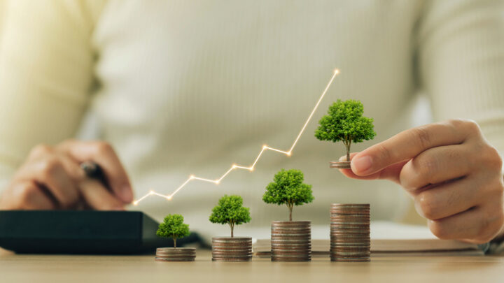 Inversiones sostenibles: qué son y cómo empezar en 2024