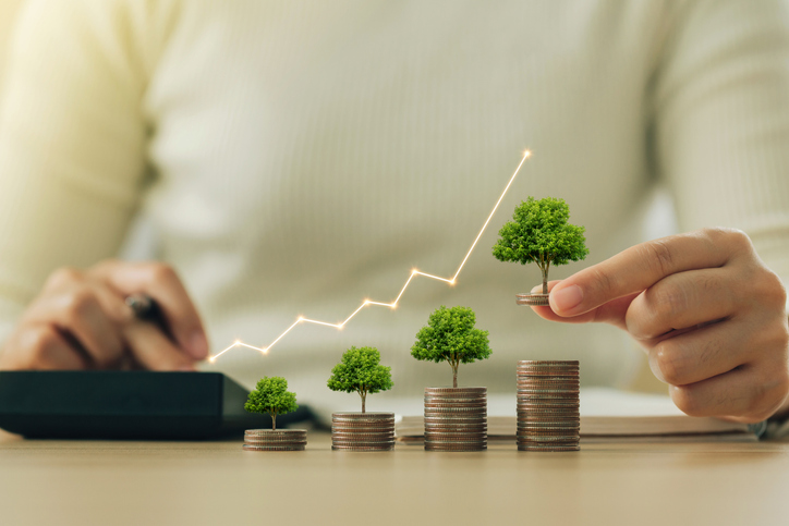 Inversiones sostenibles: qué son y cómo empezar en 2024