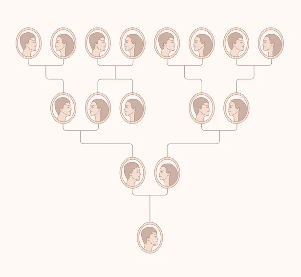 Ilustración de un árbol genealógico con siluetas de rostros en marcos ovalados, conectadas por líneas que representan varias generaciones.