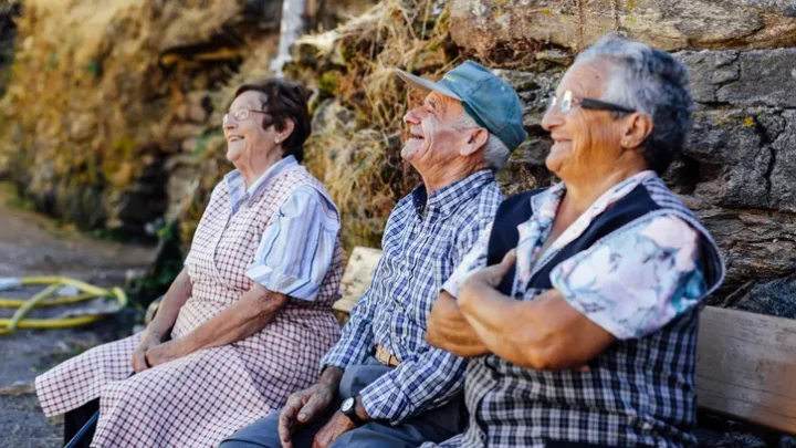 Pensiones no contributivas y subsidios en España 2026