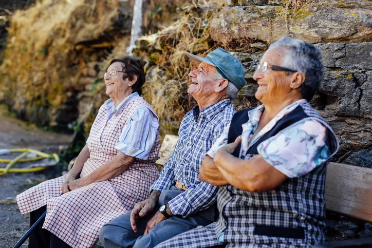 Pensiones no contributivas y subsidios en España 2026