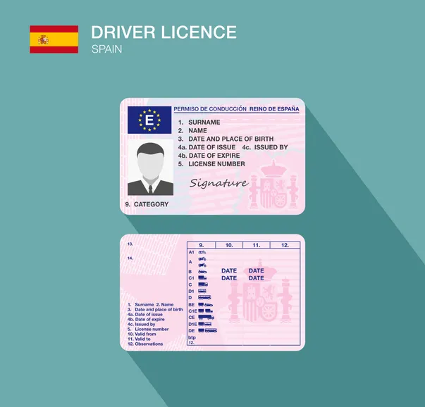 Ilustración del anverso y reverso del carnet de conducir español con sus campos y categorías