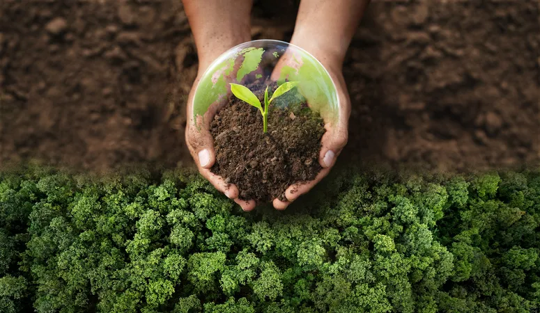 Manos sosteniendo tierra con un pequeño brote verde, rodeadas de vegetación