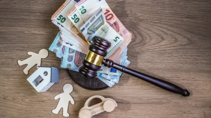 Guía del derecho de familia y herencias en España