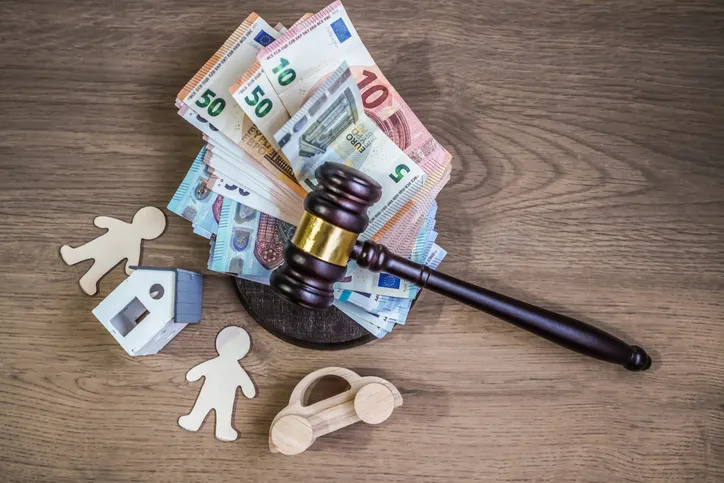 Guía del derecho de familia y herencias en España