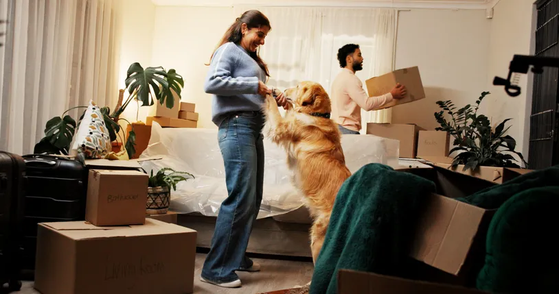 Pareja jugando con su perro golden retriever en un salón lleno de cajas de cartón durante una mudanza a su nueva vivienda.